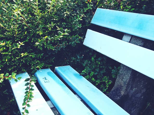 技术能力 技术能力