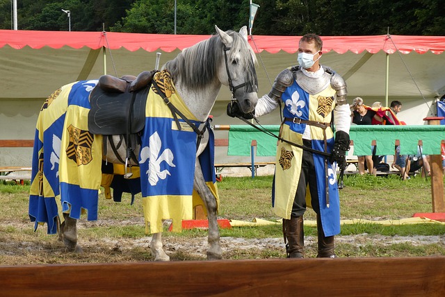 系统优化和 系统优化和