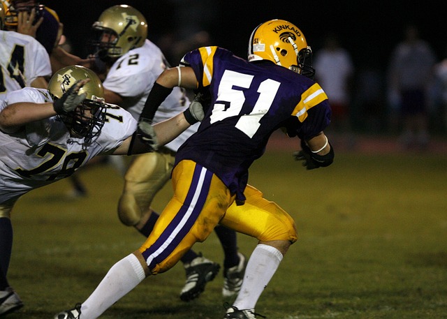 的运动能力 的运动能力